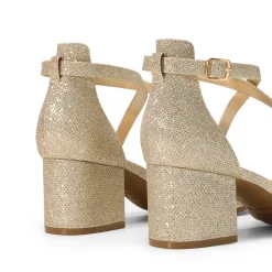 Ankle Strap Low Block Heels