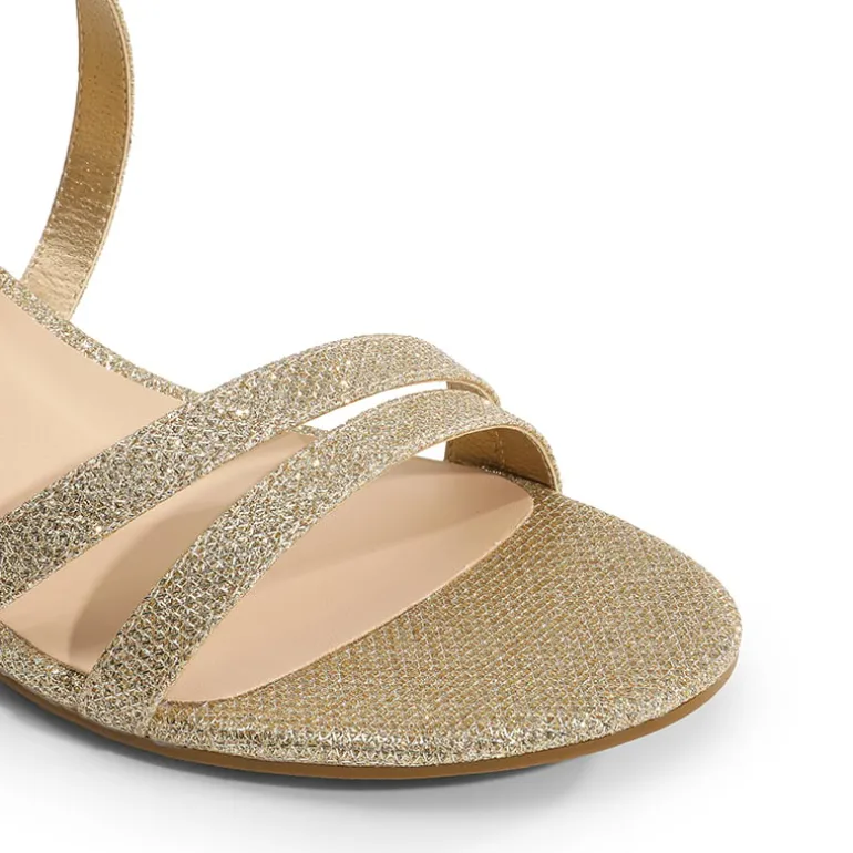 Ankle Strap Low Block Heels