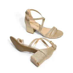 Ankle Strap Low Block Heels