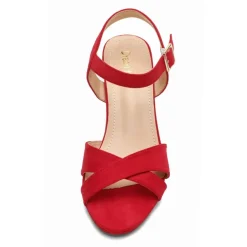 Chunky Heel Ankle Strap Sandals