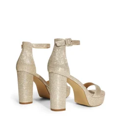 Chunky Heel Platform Ankle Strap Sandals