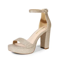 Chunky Heel Platform Ankle Strap Sandals