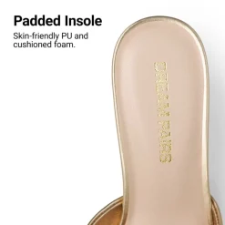 Dreamy Women’s Square Toe Low Heel Mules