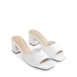 Dreamy Women’s Square Toe Low Heel Mules