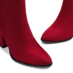 Pointed Toe Chunky Heel Ankle Boots