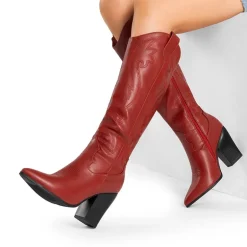 Pointed Toe Embroidered Cowboy Boots