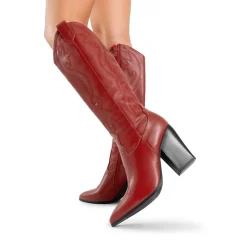 Pointed Toe Embroidered Cowboy Boots