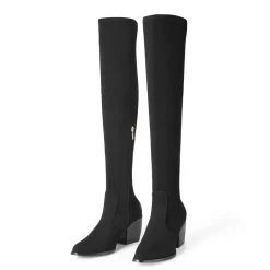 Pointed Toe Thigh High Boots