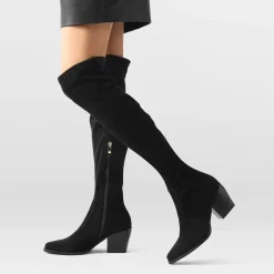 Pointed Toe Thigh High Boots