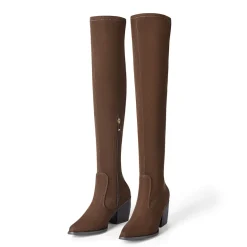 Pointed Toe Thigh High Boots