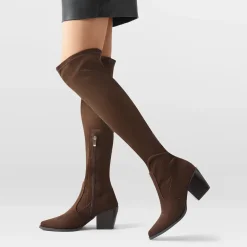 Pointed Toe Thigh High Boots