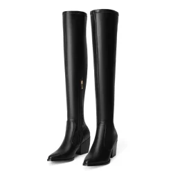 Pointed Toe Thigh High Boots
