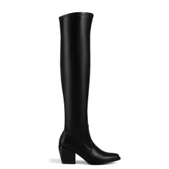 Pointed Toe Thigh High Boots