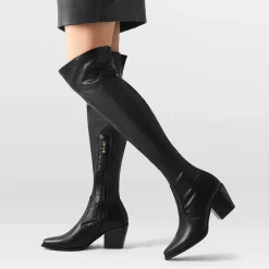 Pointed Toe Thigh High Boots